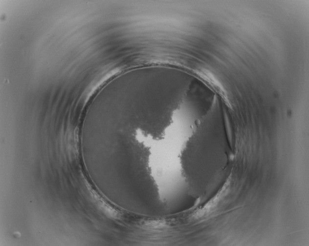 X0000088030798200705182024