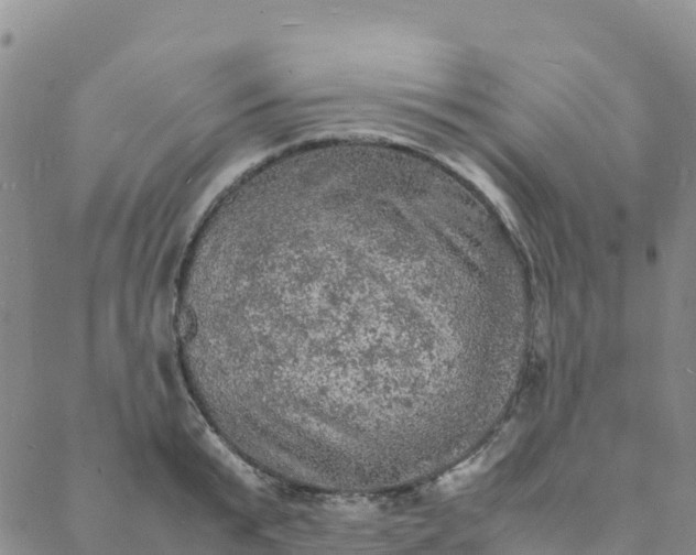 X0000088030799200705182024