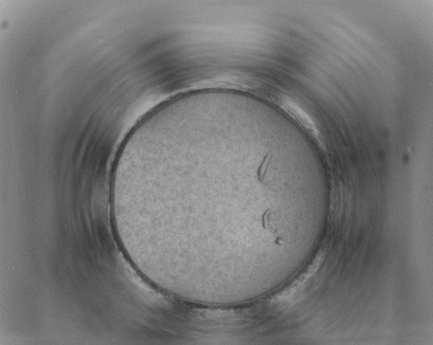 X0000088030800200705182024