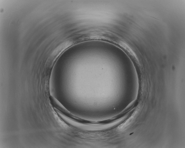 X0000088030801200705182024