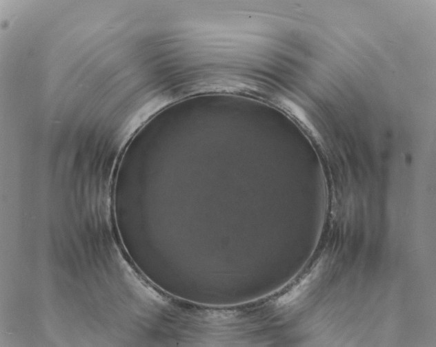 X0000088030802200705182024