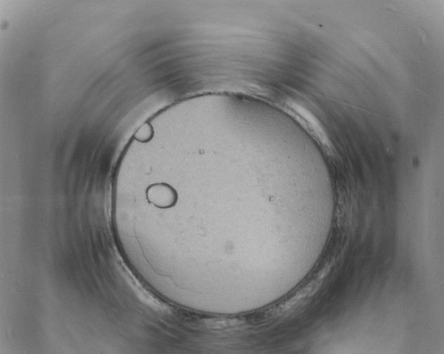 X0000088030804200705182024