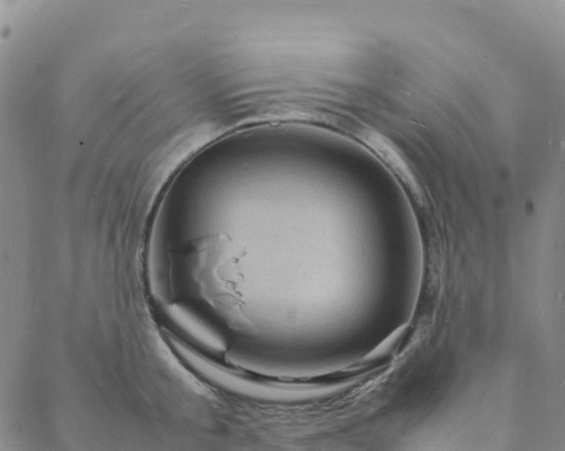 X0000088030805200705182024