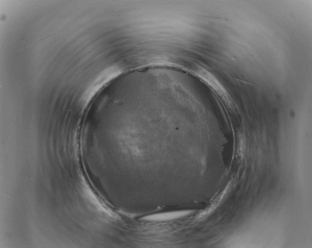 X0000088030806200705182024