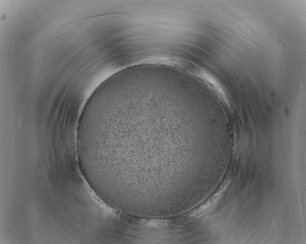 X0000088030808200705182024