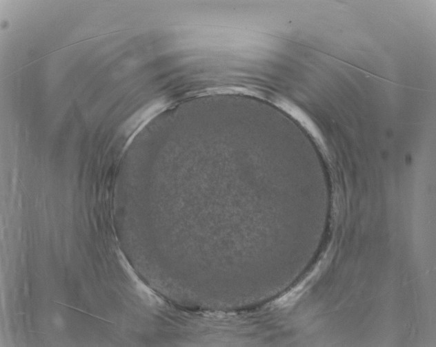 X0000088030809200705182024