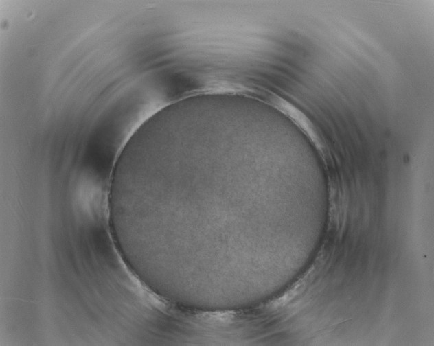 X0000088030810200705182024