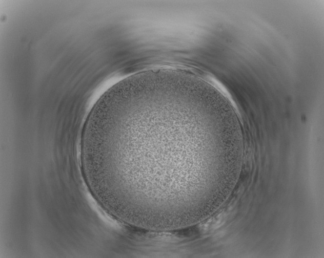 X0000088030811200705182024