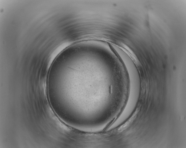 X0000088030812200705182024