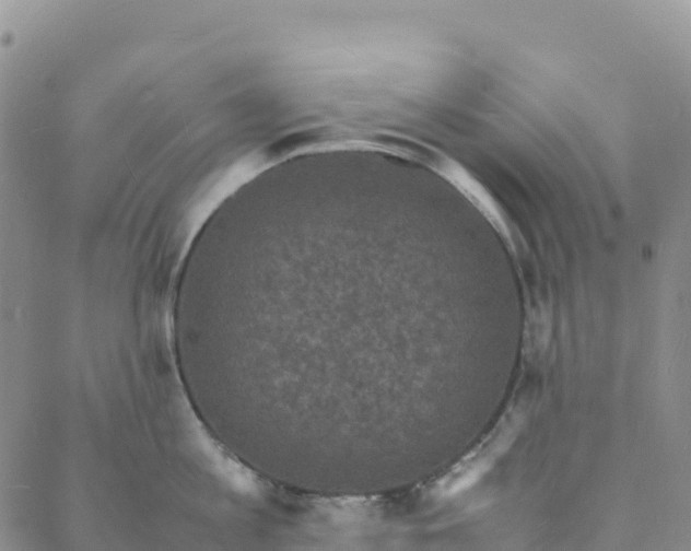 X0000088030813200705182024