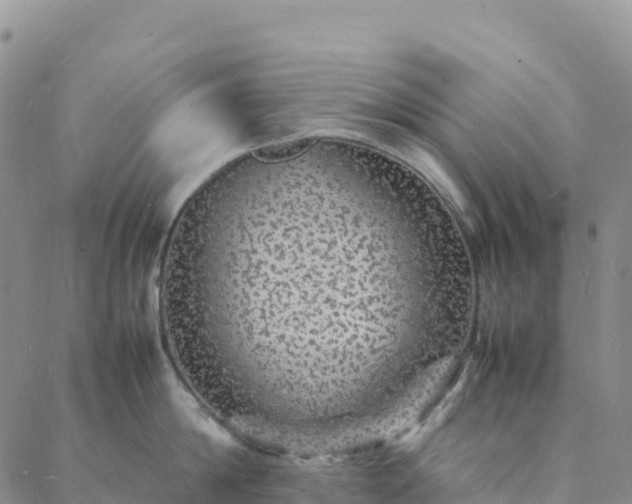 X0000088030814200705182024