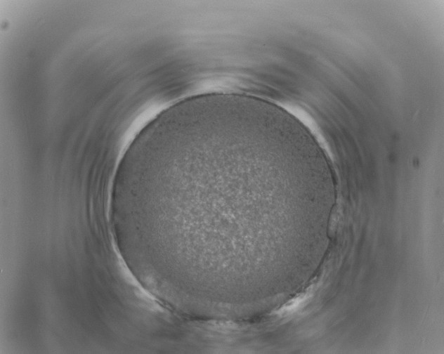 X0000088030815200705182024