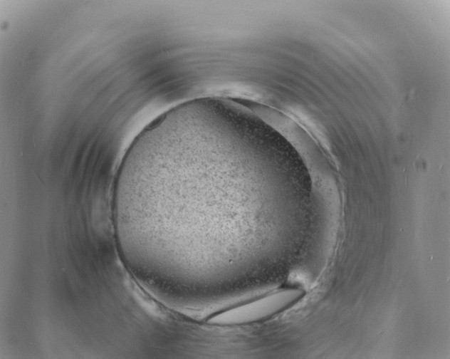 X0000088030816200705182024