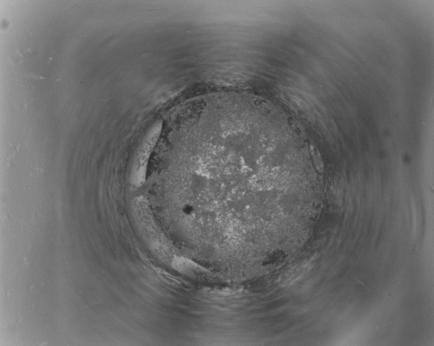 X0000088030817200705182023