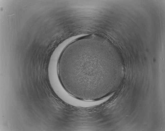 X0000088030818200705182023