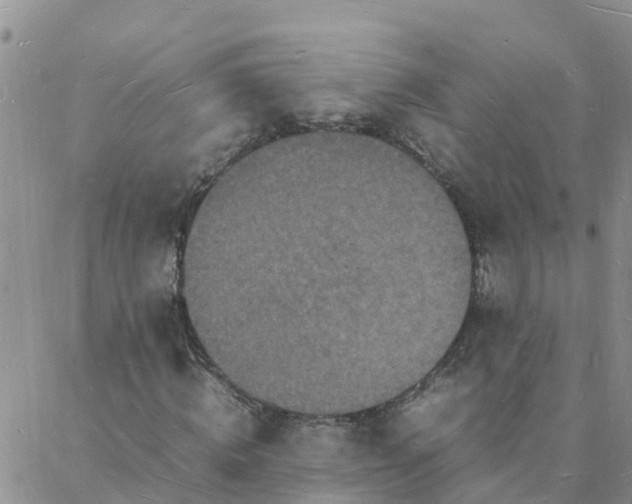 X0000088030820200705182023