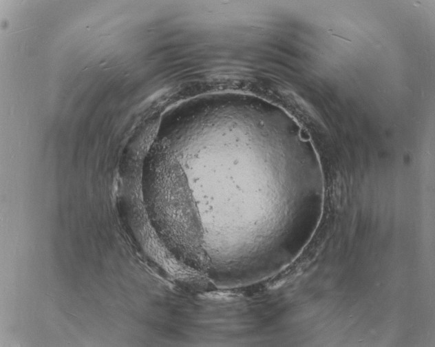 X0000088030821200705182023