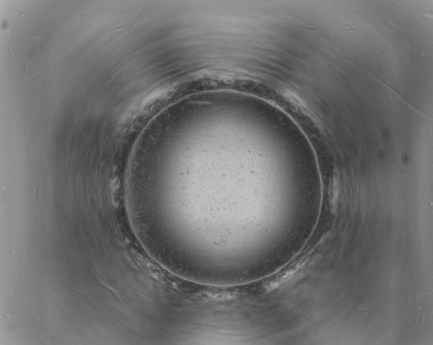 X0000088030822200705182023