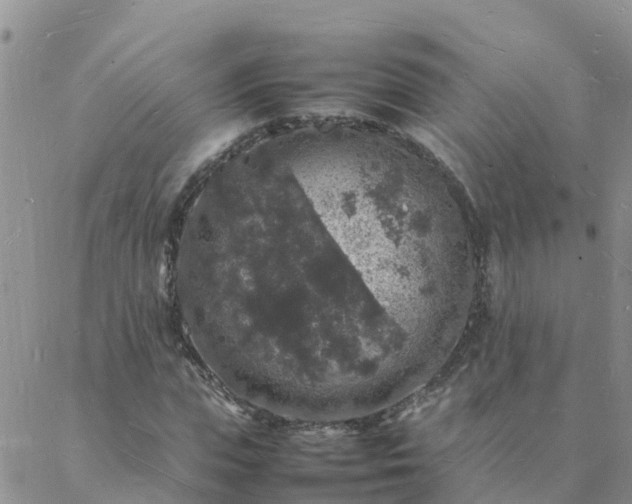 X0000088030823200705182023