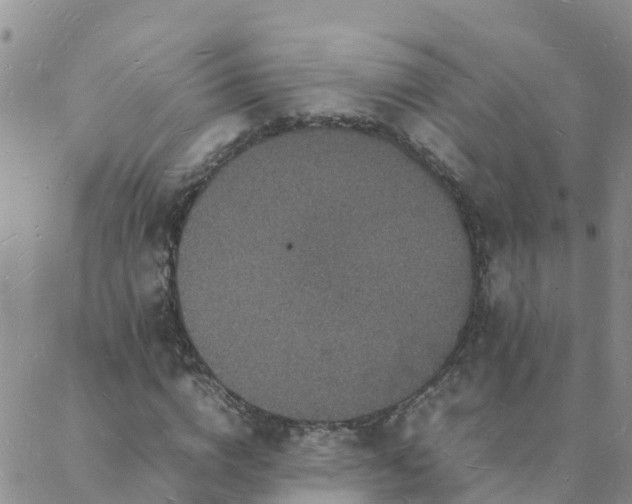 X0000088030824200705182023