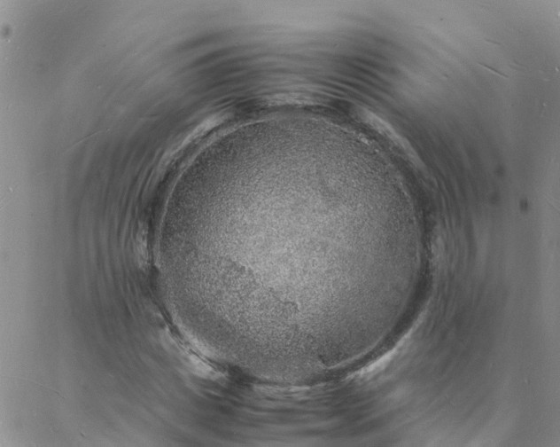 X0000088030825200705182023