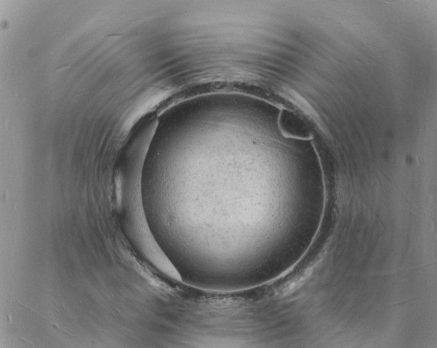 X0000088030826200705182023