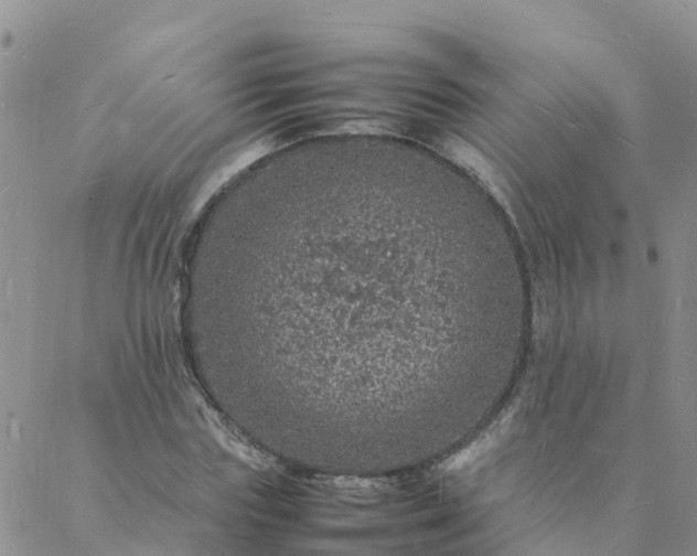 X0000088030827200705182023