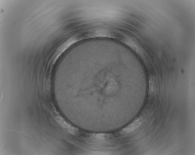 X0000088030828200705182023