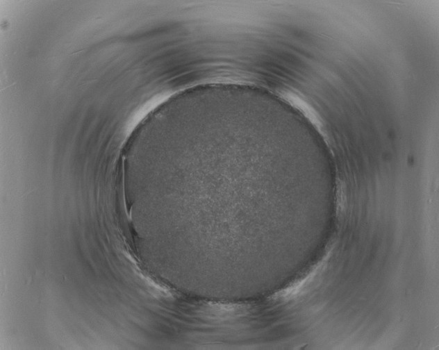 X0000088030829200705182023