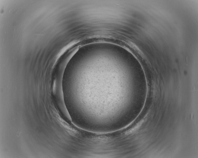 X0000088030830200705182023