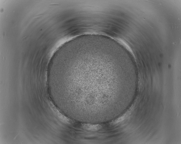 X0000088030831200705182023