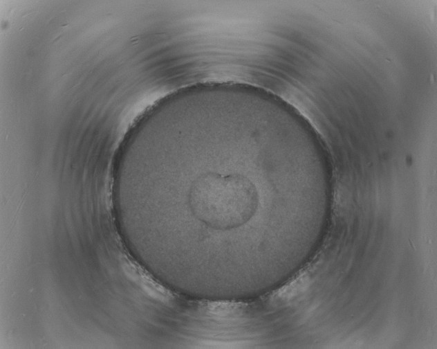 X0000088030832200705182023