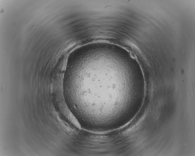 X0000088030833200705182023