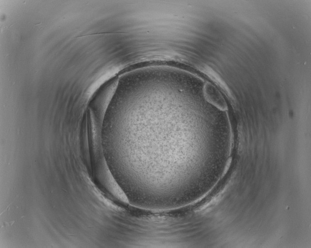 X0000088030834200705182023