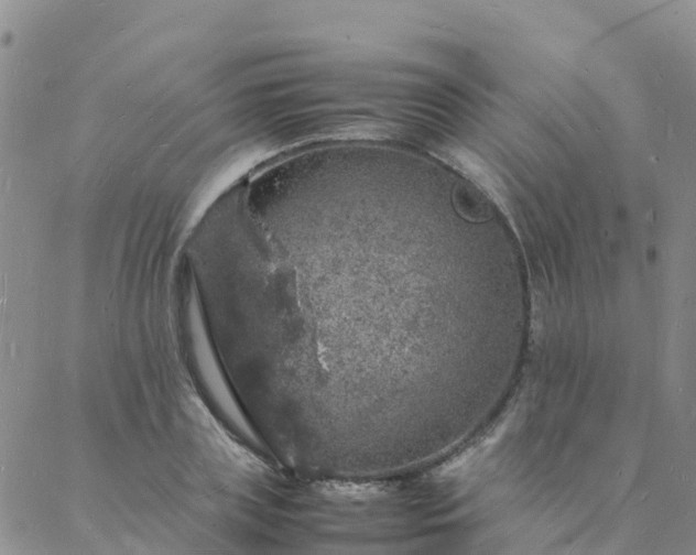 X0000088030835200705182023