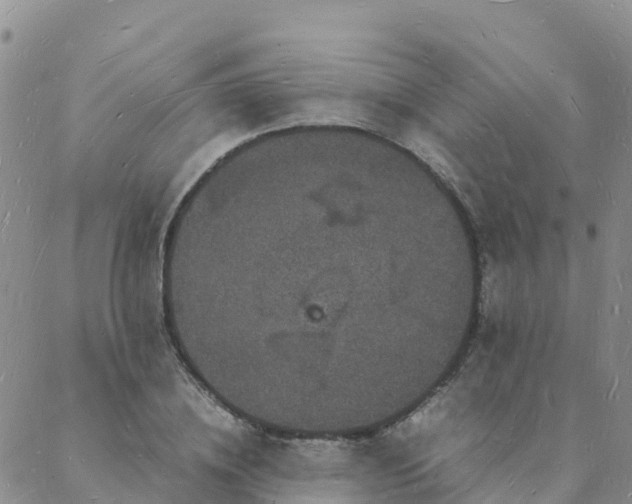 X0000088030836200705182023