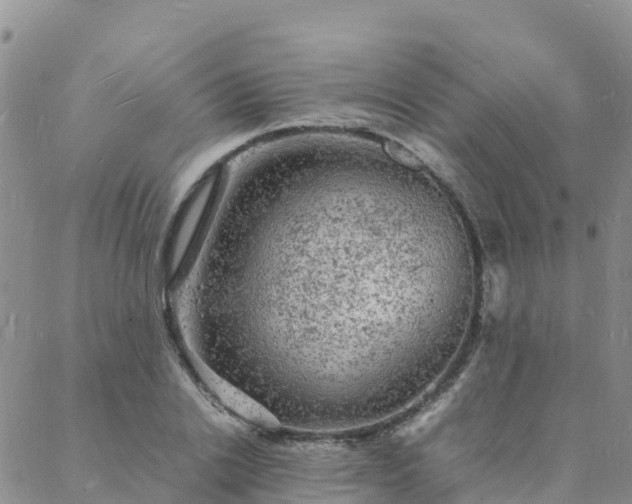 X0000088030838200705182023