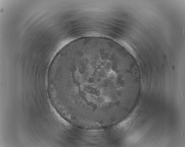 X0000088030839200705182023