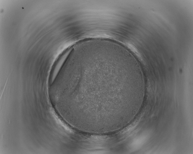 X0000088030840200705182023