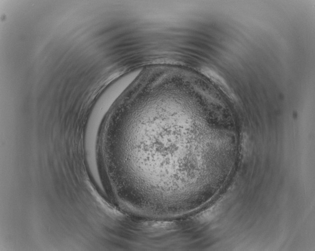 X0000088030841200705182023