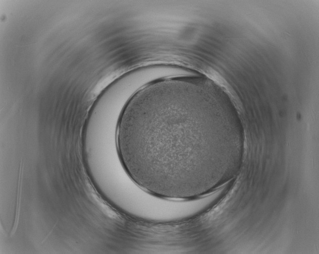 X0000088030842200705182023