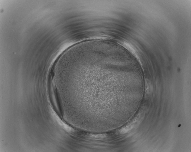 X0000088030843200705182023