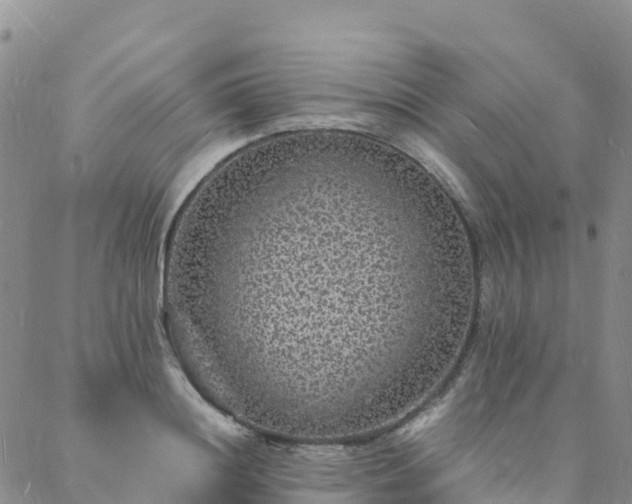 X0000088030844200705182023