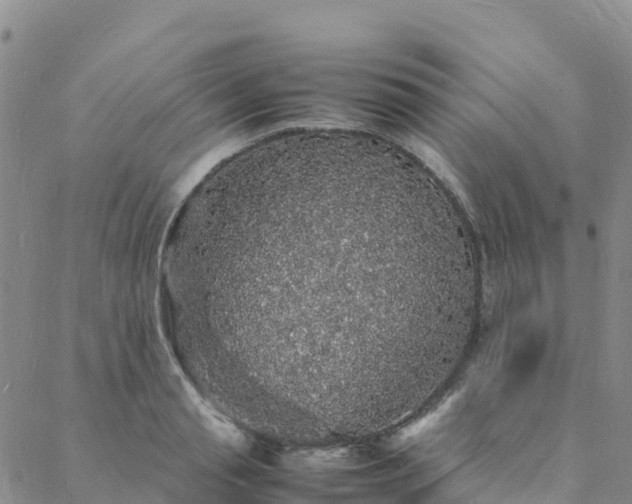 X0000088030845200705182023