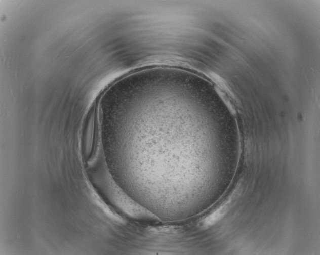 X0000088030846200705182023