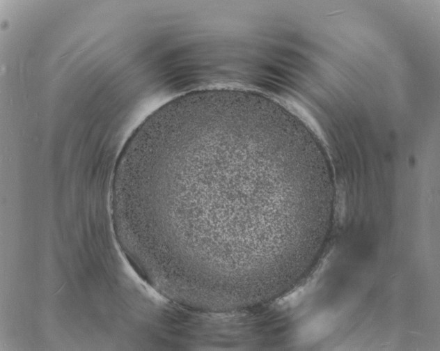 X0000088030847200705182023