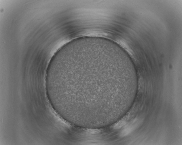 X0000088030848200705182023