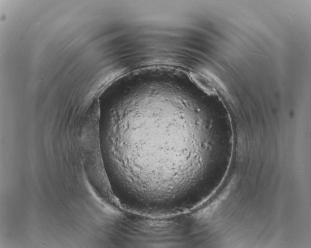 X0000088030849200705182023