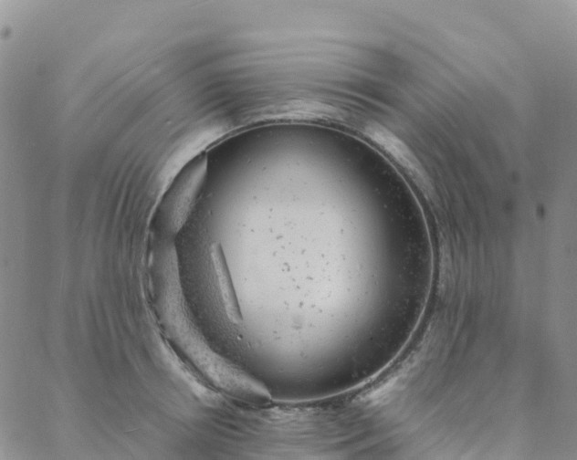 X0000088030850200705182023