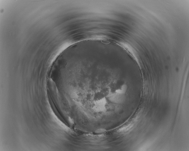 X0000088030851200705182023